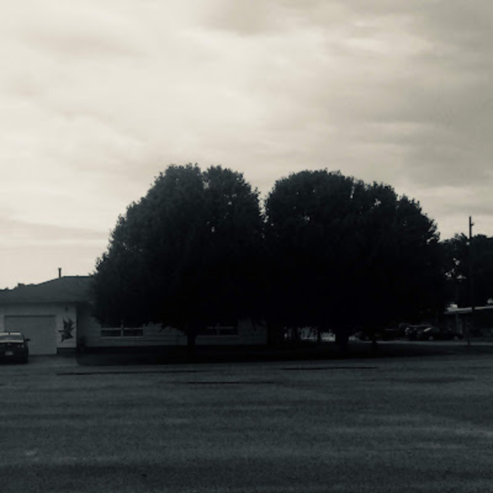 Meet your Posher, Kaylea